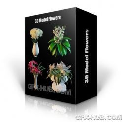 3D model 3DDD/3DSky Flowers – PRO 3D-models Collection