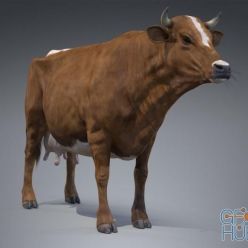 3D model Red Milch Cow PBR
