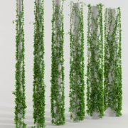 3D model White columns with ivy