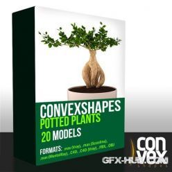 3D model CGAxis Convexshapes 3D Potted Plants Collection