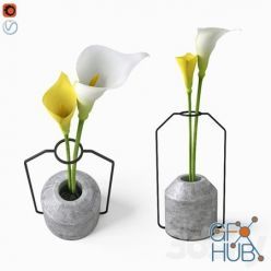 3D model Calla in Weight Vases by Decha Archjananu Callas