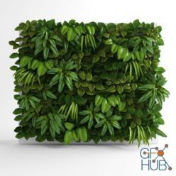 3D model Green wall for interior