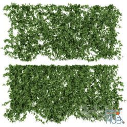3D model Ivy leaf wall for exterior and interior