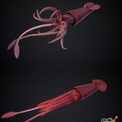 3D model Giant Squid PBR