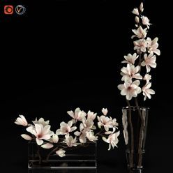 3D model Two vases with magnolia flowers