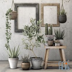 3D model Plants Collection 76