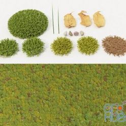 3D model Moss Collection