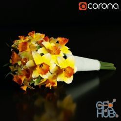 3D model Narcissus flower