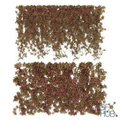 3D model Wall of wild grapes leaves v3 (max, fbx)