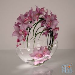 3D model Orchid composition