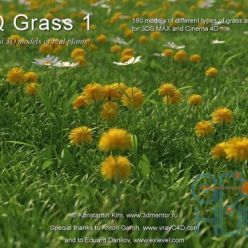 3D model vrayc4d – HQ Grass vol.1 for Cinema 4D