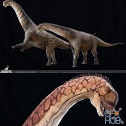 3D model Camarasaurus PBR