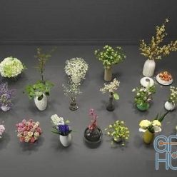3D model Modern Green Plant Flower Pot Combination