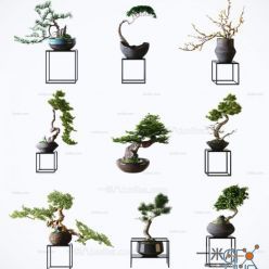 3D model Plant Set 05