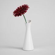 3D model Gerbera in white vase