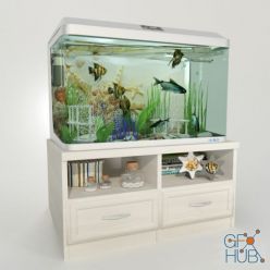 3D model Aquarium with a curbstone