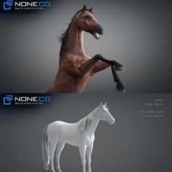 3D model Animated 3D Horses