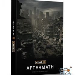 3D model Kitbash3D – Aftermath