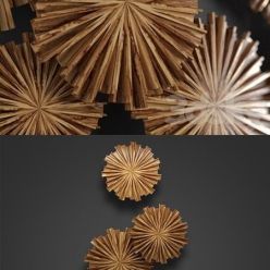 3D model Circle wood