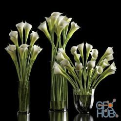 3D model Three bouquets of calla lilly
