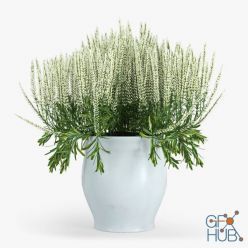 3D model Flower Calluna