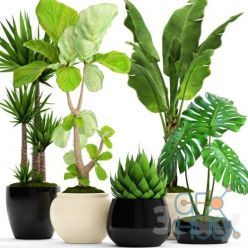 3D model 3DDD/3Dsky PRO models – Interior and Exterior Plants Set