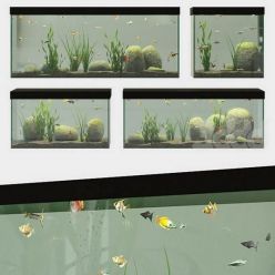 3D model Set of aquariums