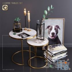 3D model ZARA HOME coffee tables set (Corona)