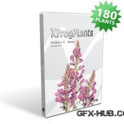 3D model XfrogPlants – Flowers 3