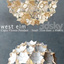 3D model West elm – Capiz Flower Pendant