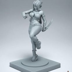 3D model Ninja Girl – 3D Print