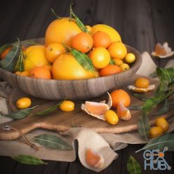 3D model Set with oranges