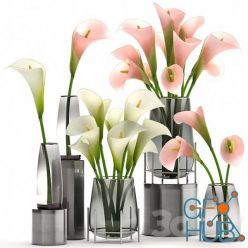 3D model Calla Flower Bouquet In A Vase 114