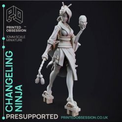 3D model Changeling Ninja – 3D Print