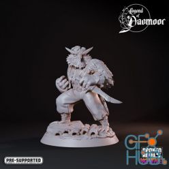 3D model OwlFolk Assassin 1