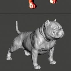 3D model American Bully Dog – 3D Print