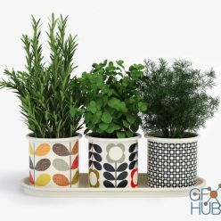 3D model New Orla Kiely pots with house herbs