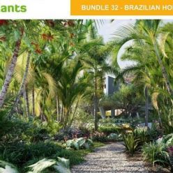 3D model Globe Plants – Bundle 32 – Brazilian Home & Garden Plants (3D-Models)