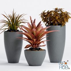 3D model SET OF PLANT-14