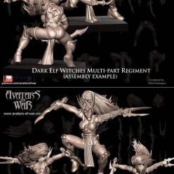 3D model Avatars of War - Dark Elf Witches – 3D Print