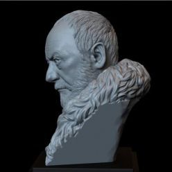 3D model Davos Seaworth from Game of Thrones bust – 3D Print