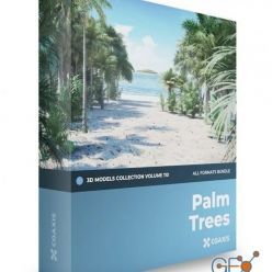 3D model CGAxis – Palm Trees 3D Models Collection – Volume 110