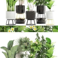 3D model Plants Collection 04