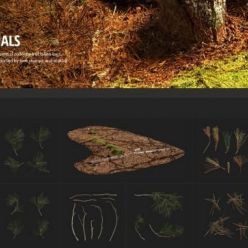 3D model Quixel – PINE ESSENTIALS