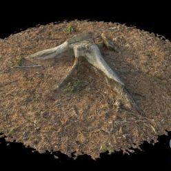 3D model Forest Stump 01 3D-scan