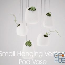 3D model Small Hanging Vertical Pod Vase