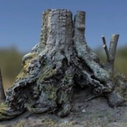 3D model Chestnut tree (obj, tex)