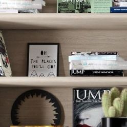 3D model Bookshelf decoration