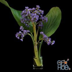 3D model Flower Bodan in a vase