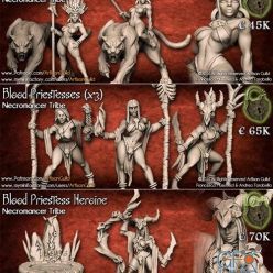 3D model Necromancer Tribe – 3D Print